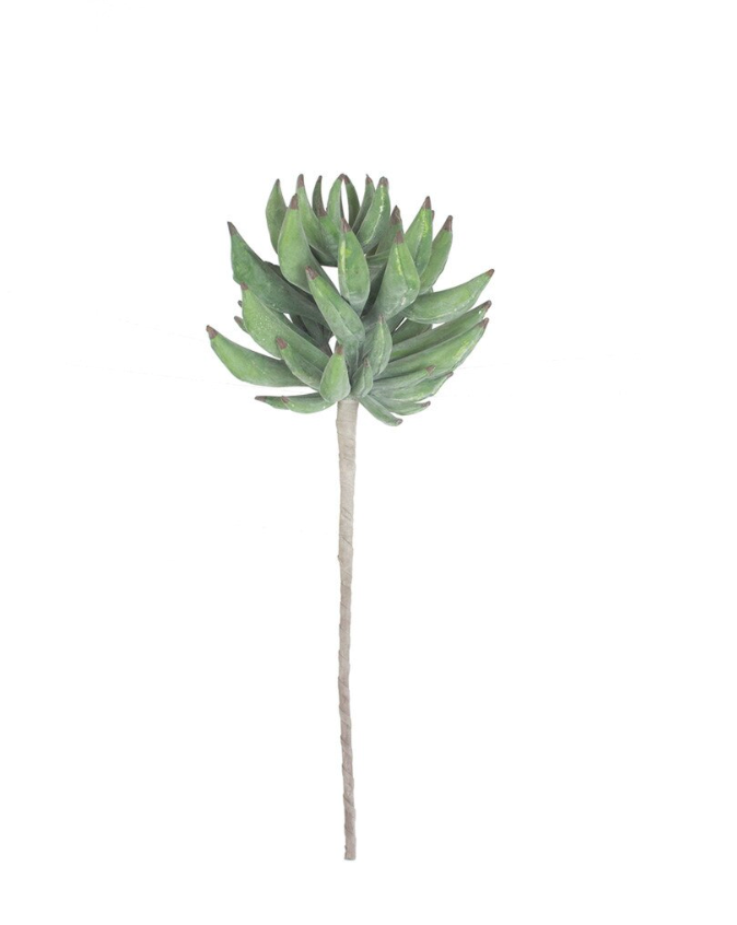 Artichoke Bloom