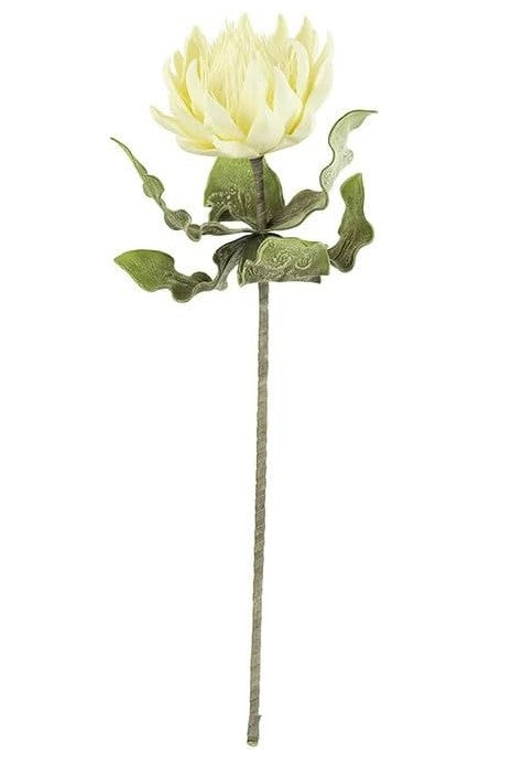White Bloom Botanica