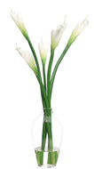 Calla Lily In Glass Jar