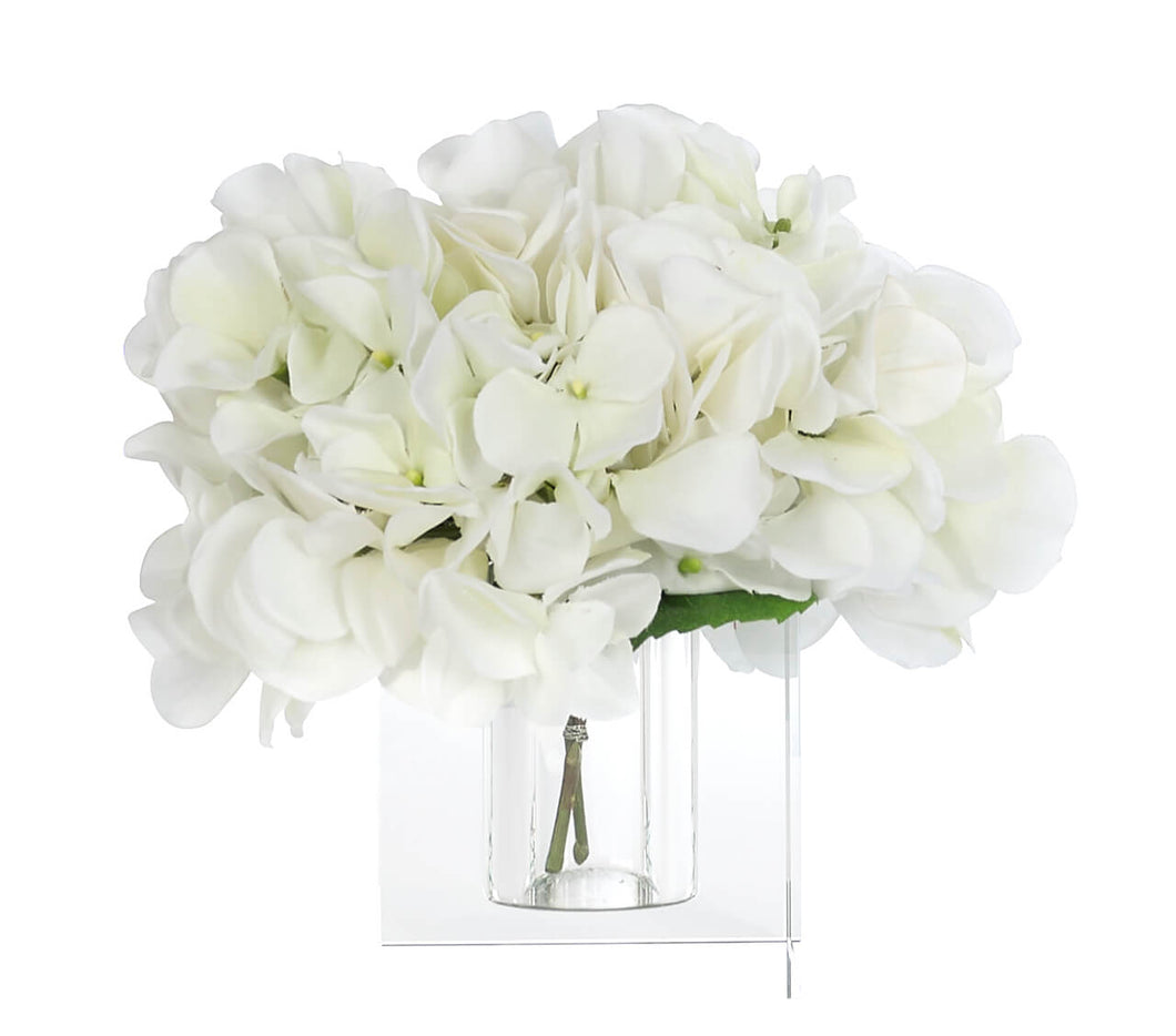 White Hydrangea 8
