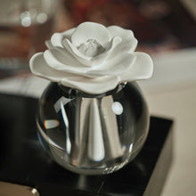 Valentina Bergamot & Pink Pepper Diffuser 100ml
