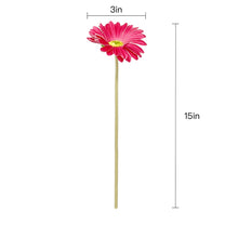 MAGENTA DAISY STEMS-SET OF 6