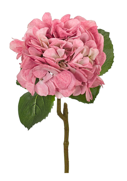Pink Hydrangea Stem 24