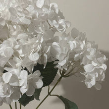 Winter White Hydrangea Spray