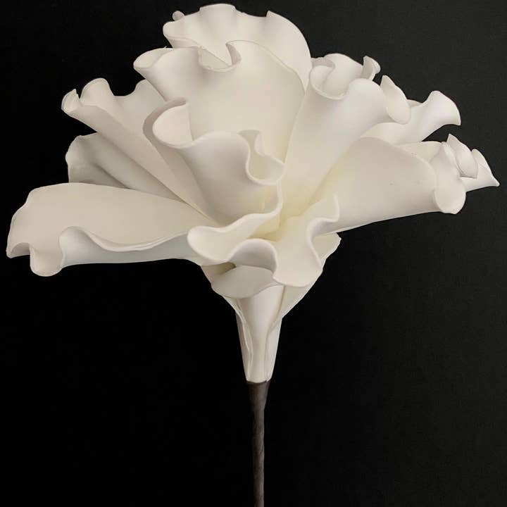 White Foam Flower 25