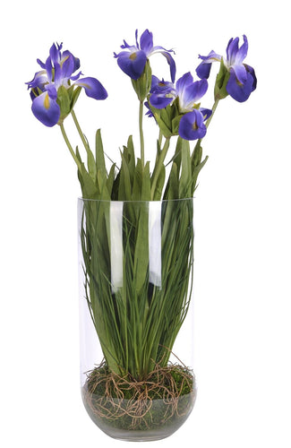 IRIS 27
