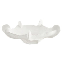 Coral Mirage Outdoor Bowl