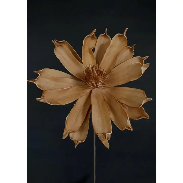 Brown Foam Flower