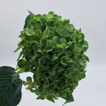 Hydrangea Ball Silk Stem