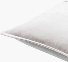 Cotton Velvet Pillow 22x22