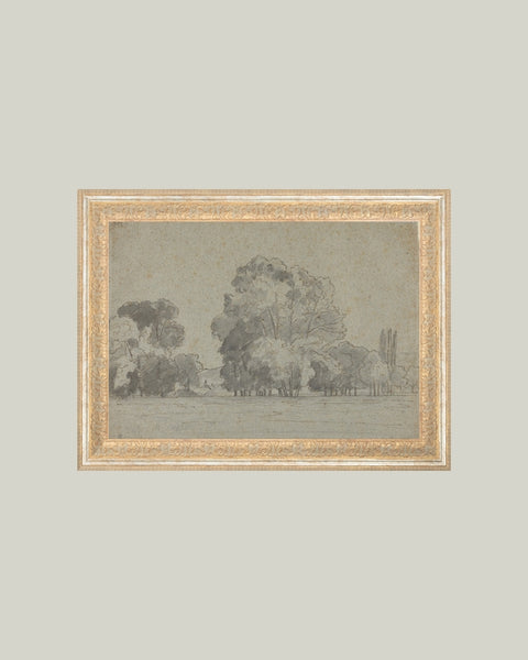Grove of Trees Framed Antique Art 12x10