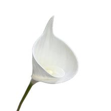 WHITE CALLA LILY STEM-SET OF 3