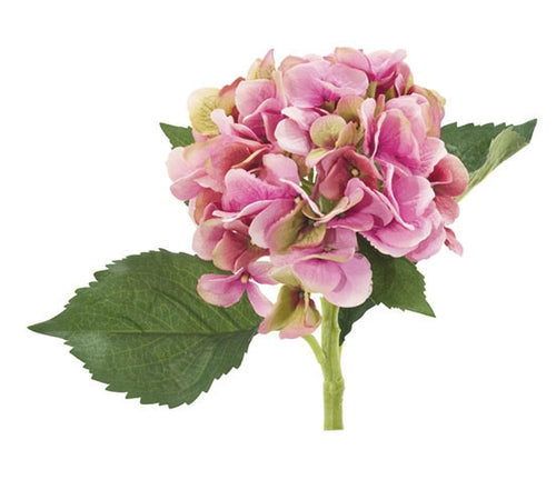 PINK HYDRANGEA STEM 19