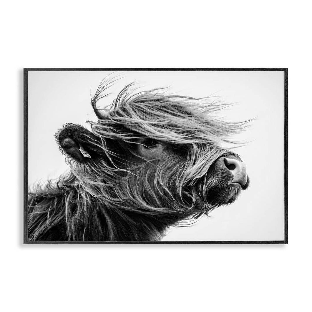 Handsome Highland Portrait 30x20