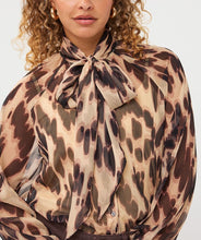 Soft Embrace Scarf Blouse