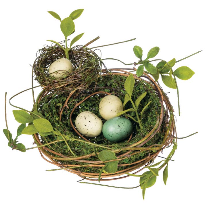 Double Birds Nest with Eggs