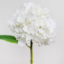 Real Touch White Hydrangea 18"