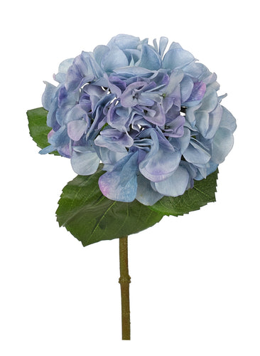 BLUE HYDRANGEA STEM 24