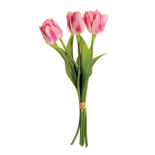 DUTCH TULIP BUNDLE