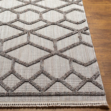 Zaragoza Rug- 7'10"x10