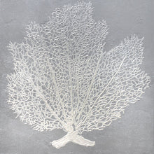 SEAFAN IX 54X54
