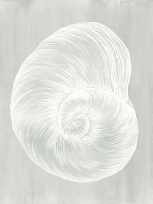 SOUND OF SHELLS VI 24X32