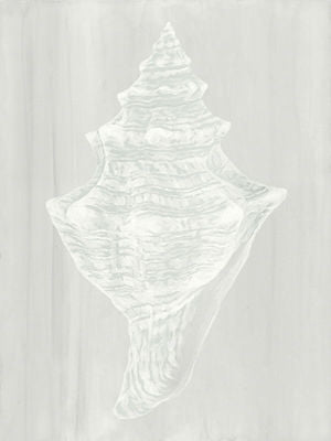 SOUND OF SHELLS VII 24X32