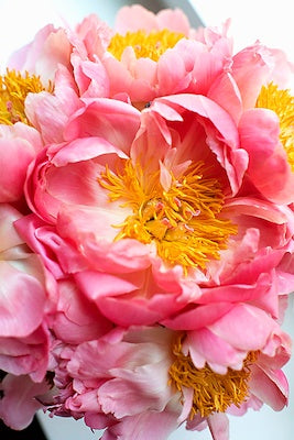 30X45 PEMBE CICEK II
