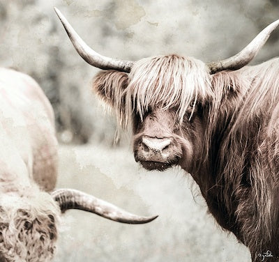 50X47 THREE HORNS