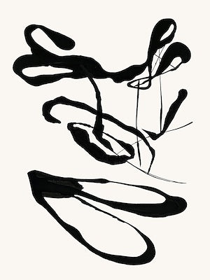 BLACK VELVET I 30X40