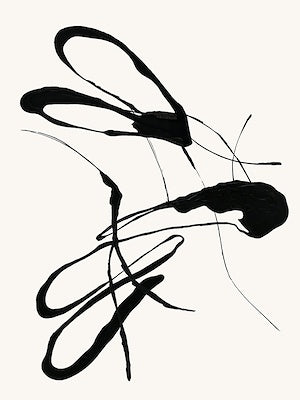 BLACK VELVET II 30X40 ART