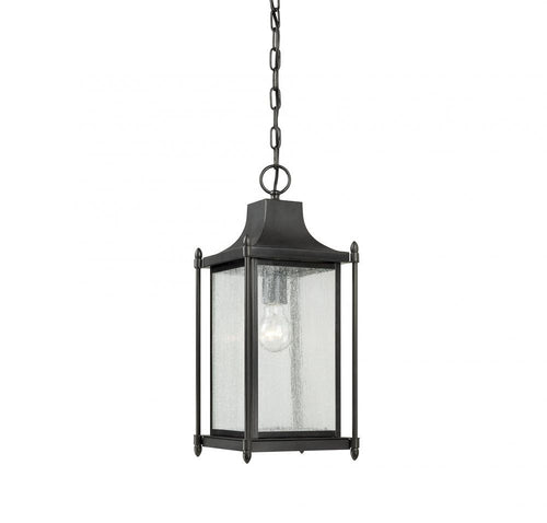 Black Transitional 1 Light Hanging Lantern, Lighting, Laura of Pembroke