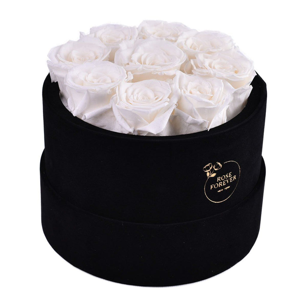 BLACK VELVET WHITE ROSES