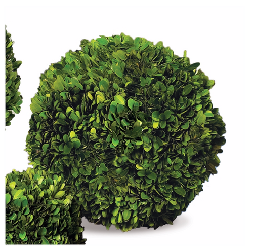 BOXWOOD BALL 12