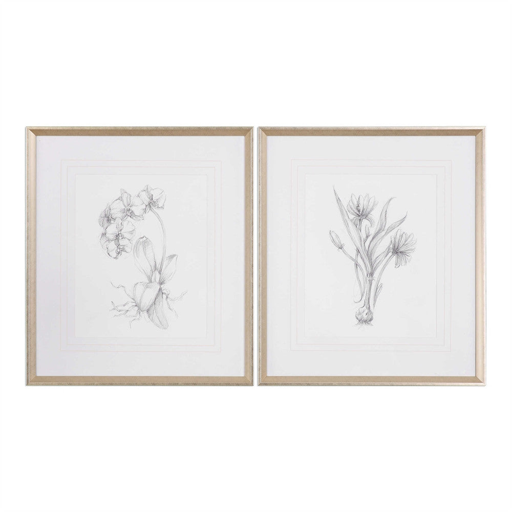 Botanical Sketch Prints, Home Accessories, Laura of Pembroke