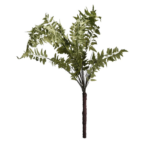 Bush