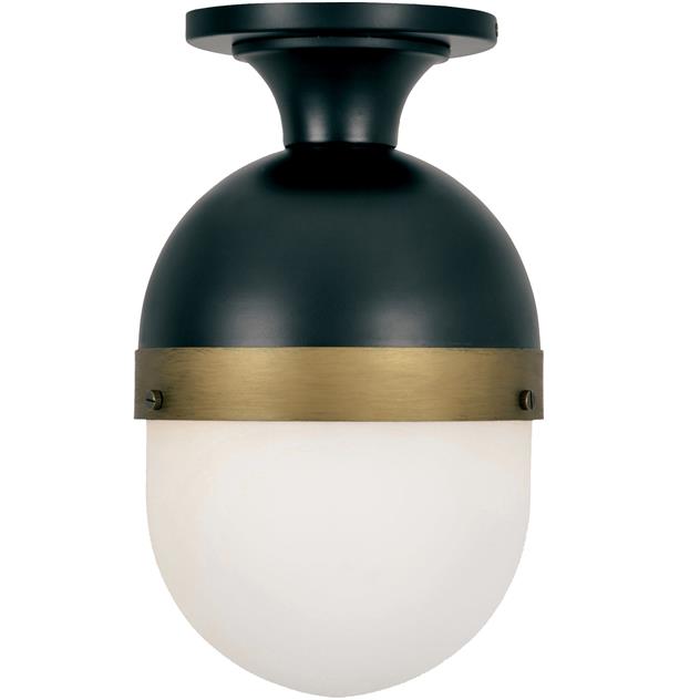 Matte Black and Textured Gold Outdoor 1 Light Ceiling Mount