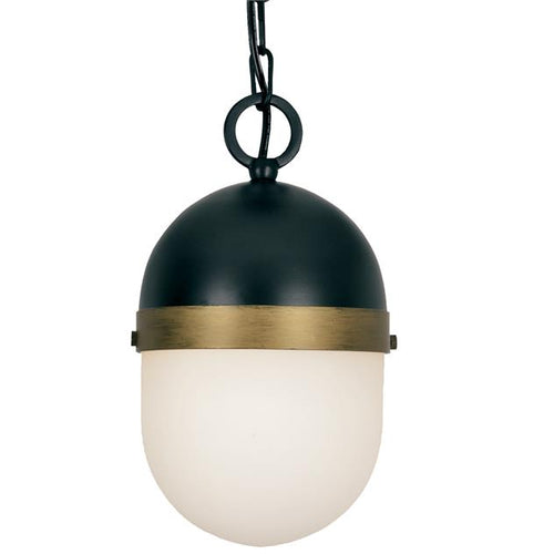  CAPSULE OUTDOOR 1 LIGHT PENDANT