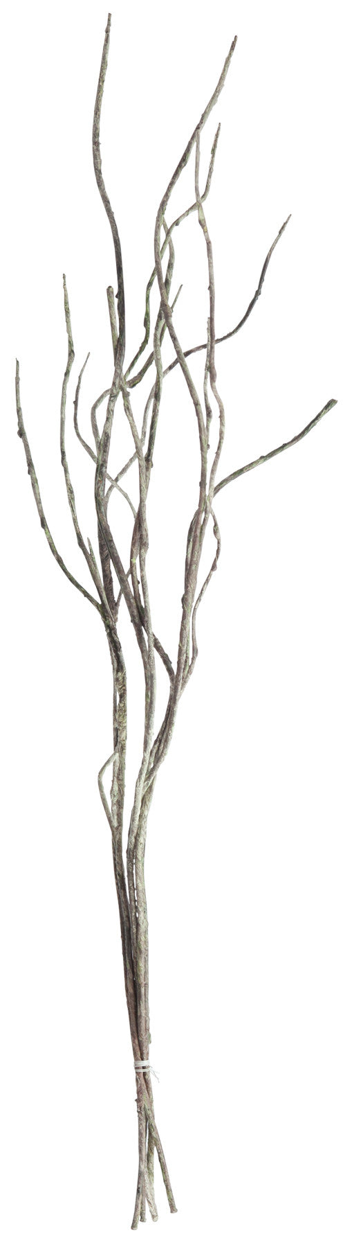 Twigs, Home Accessories, Laura of Pembroke