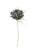 Grey Botanical, Home Accessories, Laura of Pembroke
