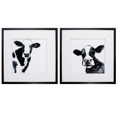 COW CONTOUR 