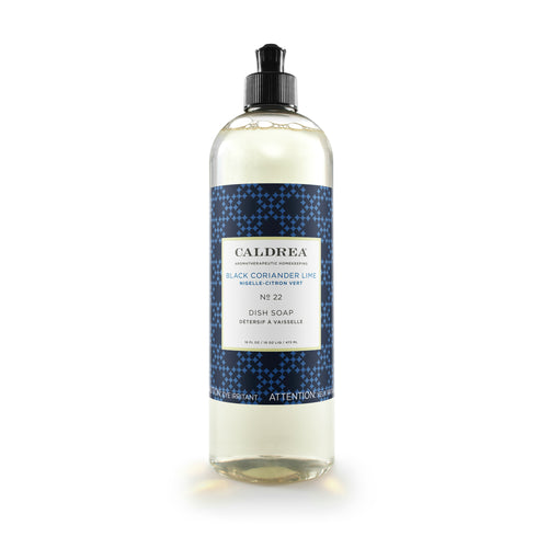 Black Coriander Lime Dish Soap, Gifts, Caldrea, Laura of Pembroke
