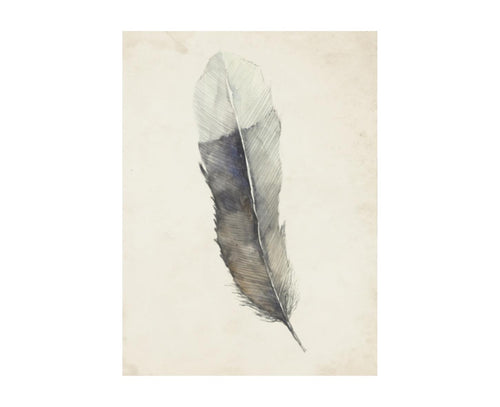 Charcoal Feathers II