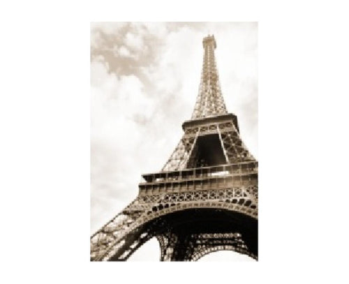 Chouette Paris I