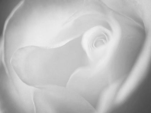 Cream Swirls II