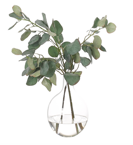 Eucalyptus