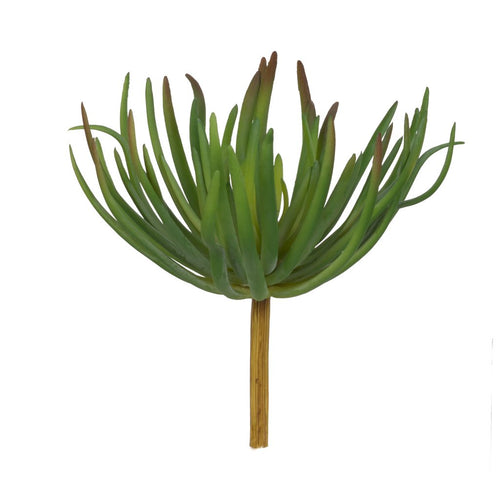 Stem