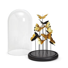 GOLDEN BUTTERFLIES IN SMALL DOME