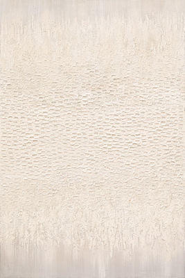 40X60 FOGGY RAIN