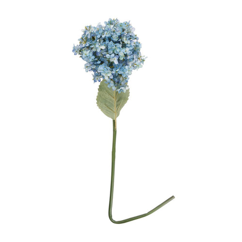 Hydrangea